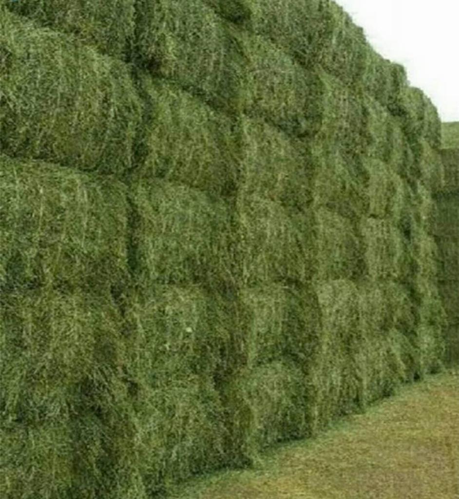 HighQualityHay2
